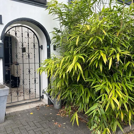 Modern Business Studio - 5 Min To Dus Airport & Messe